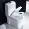 S Trap اندازه استاندارد یک تکه کف توالت دراز کامود نصب شده